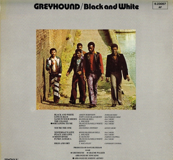 Greyhound – Black And White
