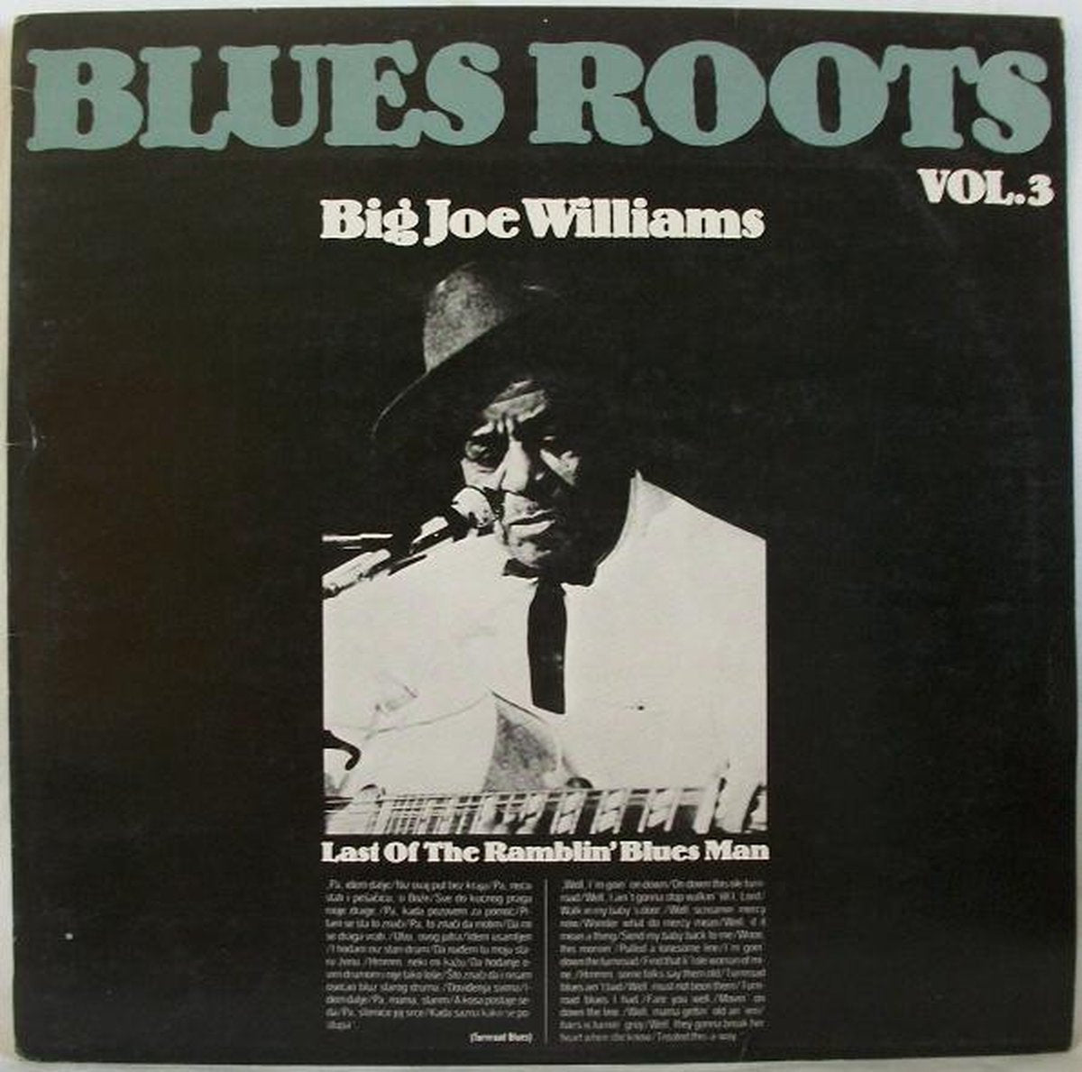 Big Joe Williams – Last Of The Ramblin Blues Man
